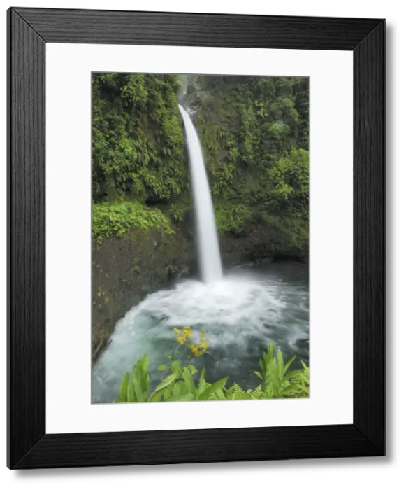 Framed Print : La Paz Waterfall Costa Rica Framed Print : La Paz Waterfall Costa Rica