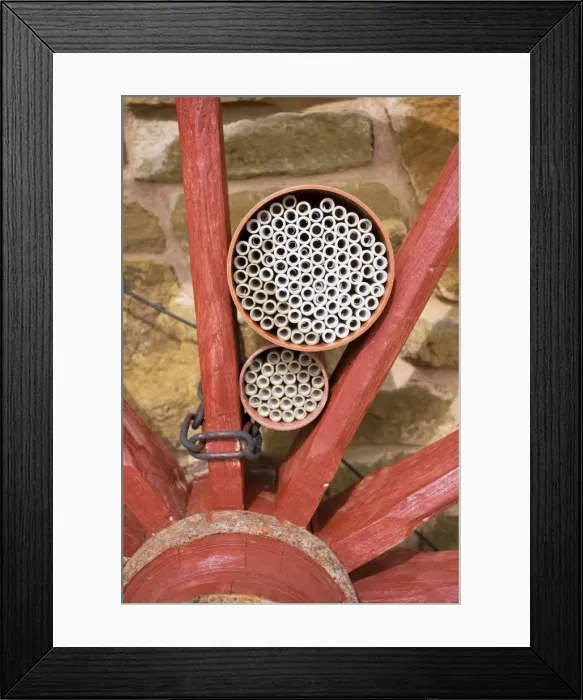 Framed Print : Insect house - habitat with hollow tubes of varying sizes to attract bees, ladybirds lacewings on house wall. Worcestershire UK Framed Print : Insect house - habitat with hollow tubes of varying sizes to attract bees, ladybirds lacewings on house wall. Worcestershire UK