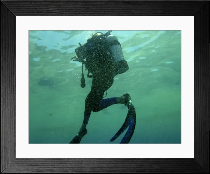 Framed Print : Oceanic plankton - an algae spawn clouds the tropical water in summer. Here we see a diver surfacing through the murk. Great barrier reef. Australia Framed Print : Oceanic plankton - an algae spawn clouds the tropical water in summer. Here we see a diver surfacing through the murk. Great barrier reef. Australia