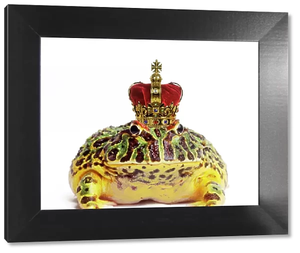 Frog Prince - wearing crown