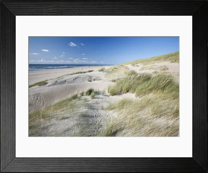 Framed Print : Sand Dunes and Marram Grass - on empty beach - Island of Texel - Holland Framed Print : Sand Dunes and Marram Grass - on empty beach - Island of Texel - Holland