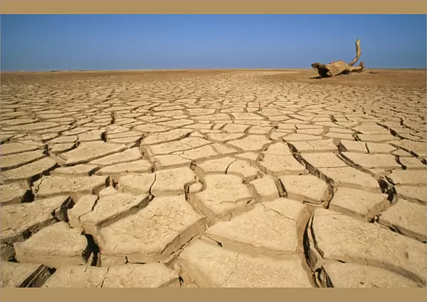 Drought TD 15 Cracked earth in the dry Huab River-mouth. Skeleton Coast Park, Namibia Africa © Thomas Dressler  /  ARDEA LONDON