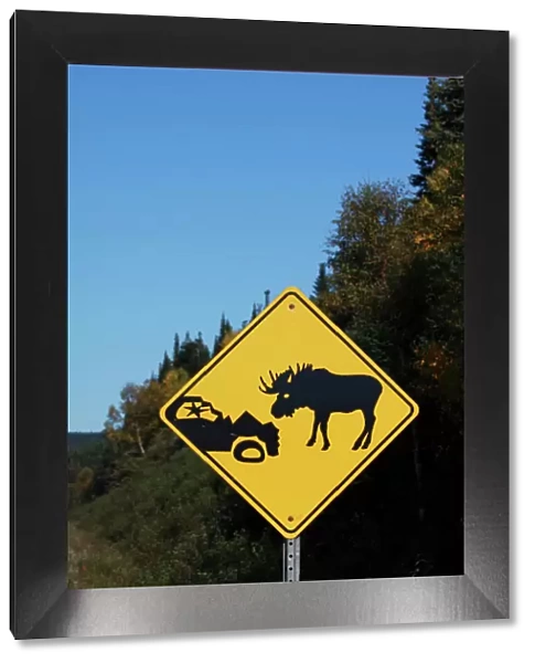Moose warning traffic sign - Gros Morne National park - Newfoundland - Canada