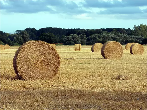 Farming - straw bales in field. Picardie - France