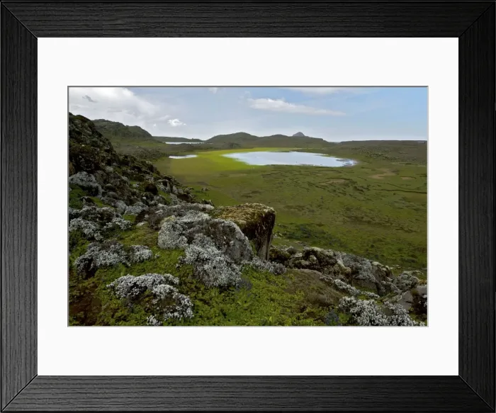 Framed Print : Sanetti Plateau - Bale Mts. - Ethiopia - Africa Framed Print : Sanetti Plateau - Bale Mts. - Ethiopia - Africa