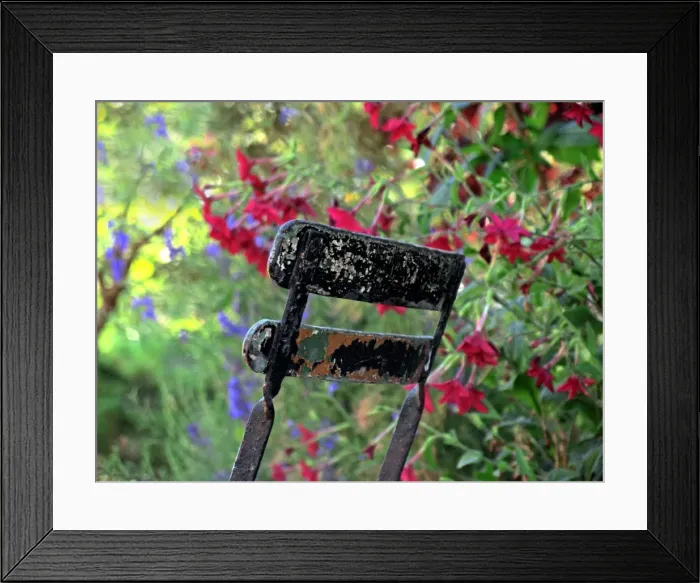 Framed Print : Chair - in garden Framed Print : Chair - in garden