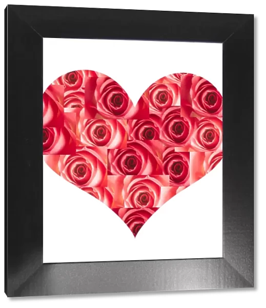 Red Rose - heart Digital Manipulation: LA-961 / 962
