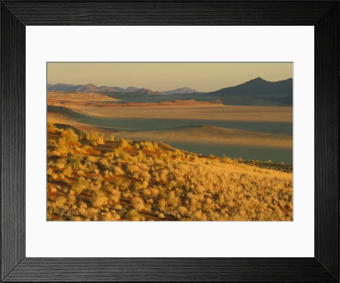 Framed Print : Namibia - Evening landscape with Bushman Grass (Stipagrostis sp. ) at the edge of the Namib Desert in the area of the exclusive Wolwedans safari camps. NamibRand Nature Reserve, Namibia Framed Print : Namibia - Evening landscape with Bushman Grass (Stipagrostis sp. ) at the edge of the Namib Desert in the area of the exclusive Wolwedans safari camps. NamibRand Nature Reserve, Namibia