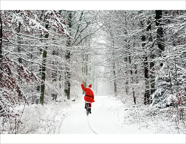 Father Christmas - riding bicycle through beech woodland - coverd in snow and ice Digital Manipulation: Father Christmas