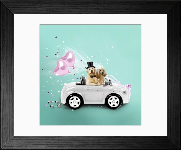 Framed Print : Dogs driving wedding car Digital Manipulation: Car & Dogs LA. Balloons bow-tie & tiara JD. The rest DG Framed Print : Dogs driving wedding car Digital Manipulation: Car & Dogs LA. Balloons bow-tie & tiara JD. The rest DG