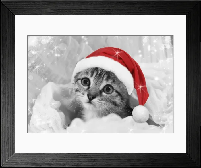Framed Print : Cat - kitten wearing Christmas hat Digital Manipulation: Hat JD, B&W, sparkles, repalced left eye Framed Print : Cat - kitten wearing Christmas hat Digital Manipulation: Hat JD, B&W, sparkles, repalced left eye