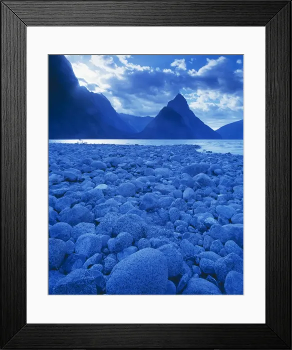 Framed Print : New Zealand JPF 7924 Fiordland National Park, Milford Sound, South Island. © Jean-Paul Ferrero / ARDEA LONDON Framed Print : New Zealand JPF 7924 Fiordland National Park, Milford Sound, South Island. © Jean-Paul Ferrero / ARDEA LONDON