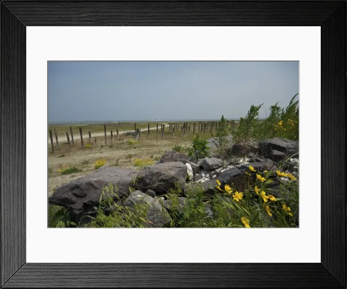 Framed Print : Saemangeum Korea - Jangseung Totem Poles carved faces with contorted scream opposition to the land reclamation Framed Print : Saemangeum Korea - Jangseung Totem Poles carved faces with contorted scream opposition to the land reclamation