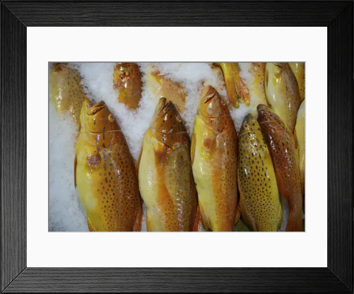 Framed Print : Red Grouper - Fish market - Singapore Framed Print : Red Grouper - Fish market - Singapore