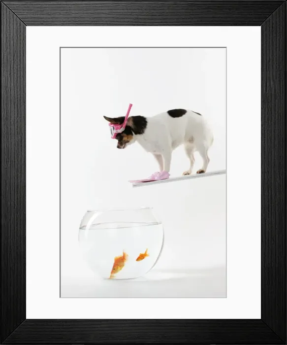 Framed Print : DOG. Chihuahua in scuba gear over goldfish bowl Framed Print : DOG. Chihuahua in scuba gear over goldfish bowl