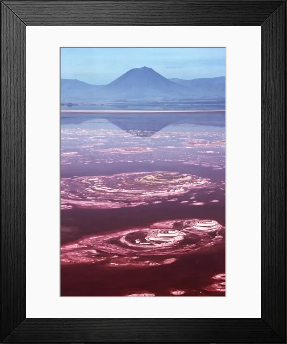 Framed Print : Lake Norton AW 5779 Soda lake / Mt. Lengai, African rift valley, Tanzania. © Adrian Warren / ARDEA LONDON Framed Print : Lake Norton AW 5779 Soda lake / Mt. Lengai, African rift valley, Tanzania. © Adrian Warren / ARDEA LONDON