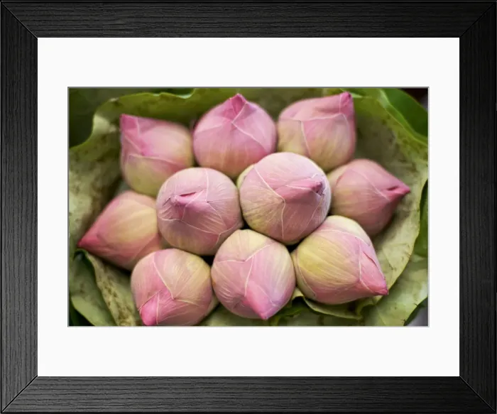 Framed Print : Lotus flower - Thailand
