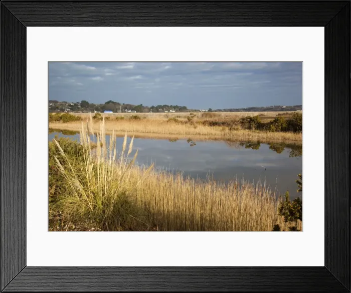 Framed Print : Hayle - RSPB Reserve - Cornwall - UK Framed Print : Hayle - RSPB Reserve - Cornwall - UK