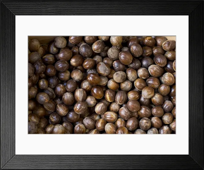 Framed Print : Nutmeg - Minahasa highlands - N. Sulawesi - Indonesia Framed Print : Nutmeg - Minahasa highlands - N. Sulawesi - Indonesia