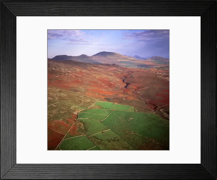 Framed Print : Wales AW 6480 Snowdonia © Adrian Warren / ARDEA LONDON Framed Print : Wales AW 6480 Snowdonia © Adrian Warren / ARDEA LONDON