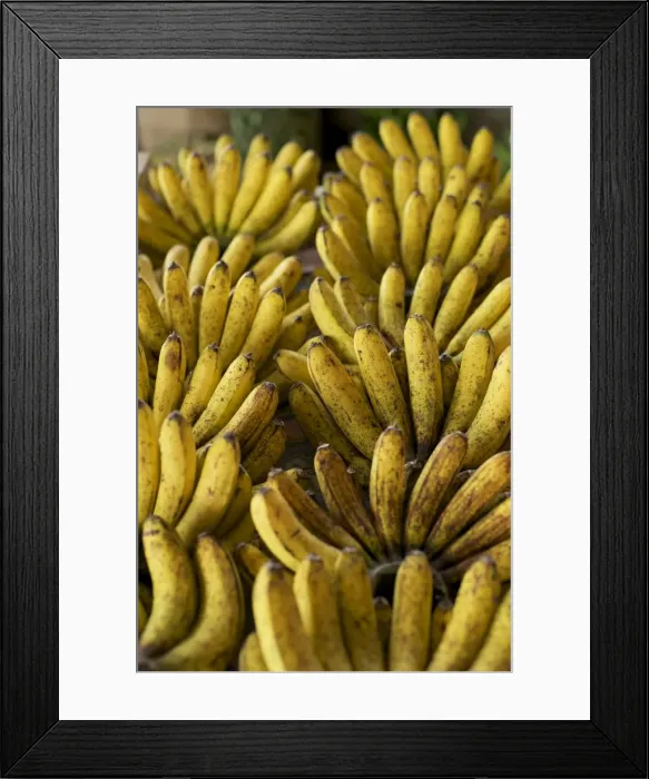 Framed Print : Bananas - Tomohon Tomohon Market - N. Sulawesi - minahasa highlands Framed Print : Bananas - Tomohon Tomohon Market - N. Sulawesi - minahasa highlands