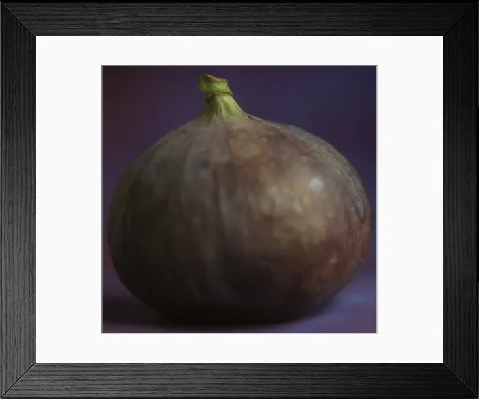 Framed Print : Fig - in studio Framed Print : Fig - in studio