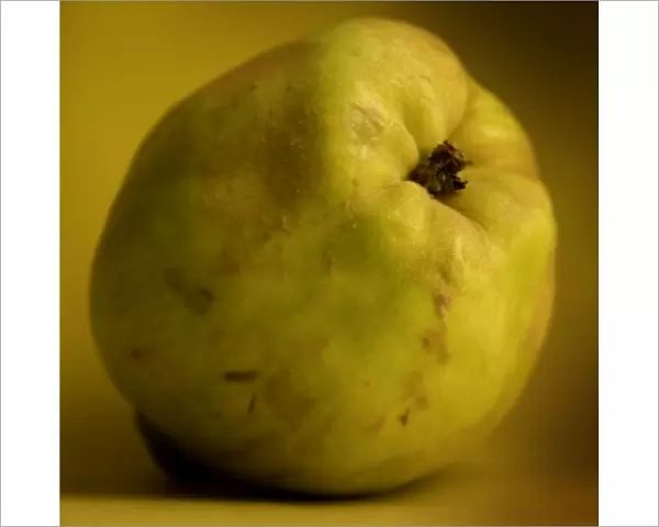 Fruit - Quince
