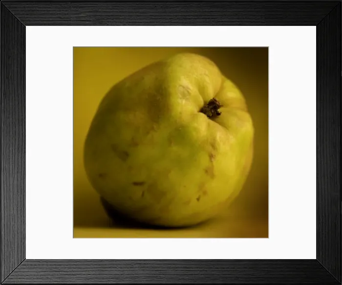 Framed Print : Fruit - Quince Framed Print : Fruit - Quince