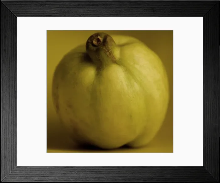 Framed Print : Fruit - Quince Framed Print : Fruit - Quince
