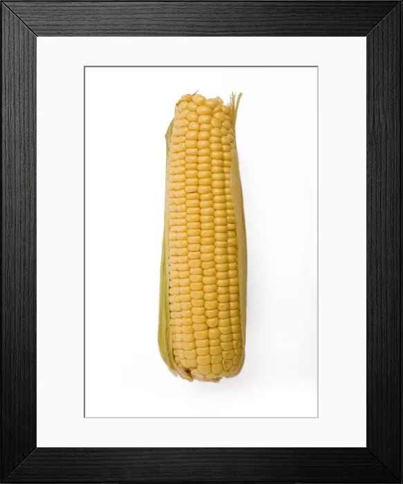 Framed Print : Sweetcorn - corn on the cob Framed Print : Sweetcorn - corn on the cob