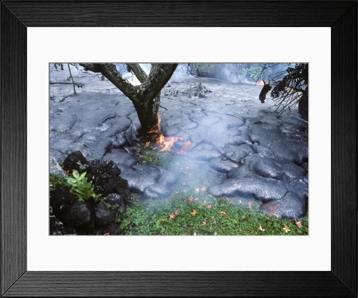 Framed Print : USA - Hawaii - Big Island - Eruption of the Pu'u O'o Vent - a vent of the Kilauea Volcano - Advancing lava flow in a garden in the village of Kalapana Gardens on south shore of the island Framed Print : USA - Hawaii - Big Island - Eruption of the Pu'u O'o Vent - a vent of the Kilauea Volcano - Advancing lava flow in a garden in the village of Kalapana Gardens on south shore of the island