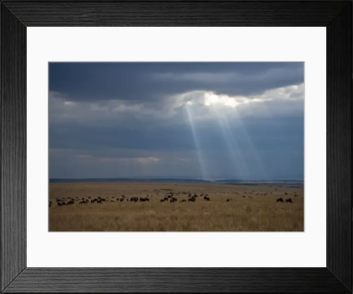 Framed Print : Storm clouds over the Masai Mara - Kenya Framed Print : Storm clouds over the Masai Mara - Kenya