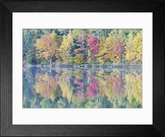 Framed Print : Moccassin Lake with Autumn Colours of Maples Reflected Upper Penninsular Michigan, USA LA004464 Framed Print : Moccassin Lake with Autumn Colours of Maples Reflected Upper Penninsular Michigan, USA LA004464