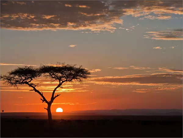 Sunrise over the Masai Mara - Kenya