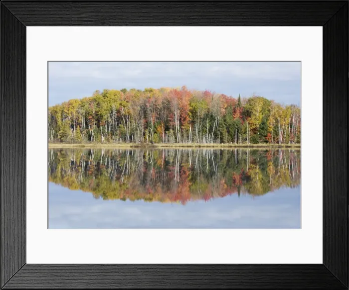 Framed Print : Council Lake with Autumn Colours of Maples Reflected Upper Penninsular Michigan, USA LA004448 Framed Print : Council Lake with Autumn Colours of Maples Reflected Upper Penninsular Michigan, USA LA004448