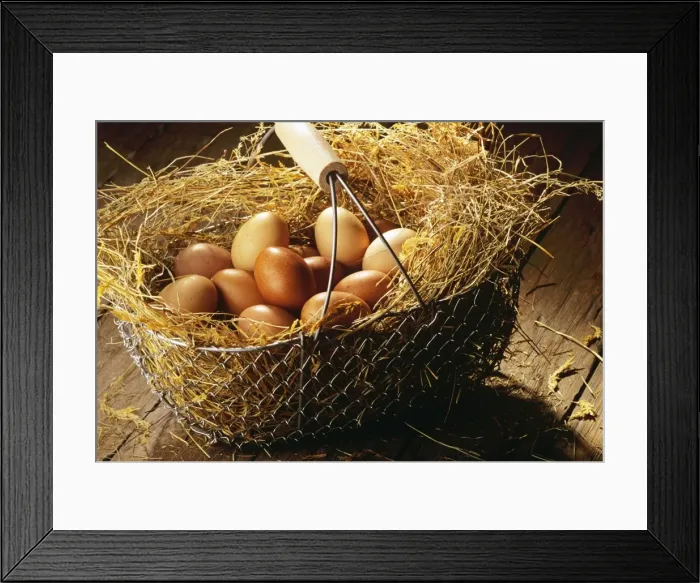 Framed Print : Eggs in basket JLR03466 Framed Print : Eggs in basket JLR03466