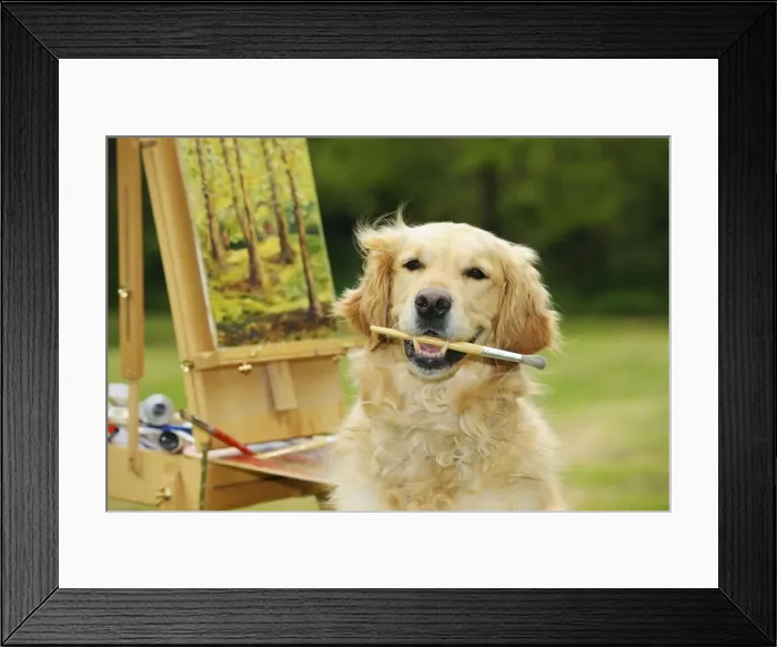 Framed Print : DOG. Golden retriever holding paint brush in mouth sitting next to a painting Framed Print : DOG. Golden retriever holding paint brush in mouth sitting next to a painting