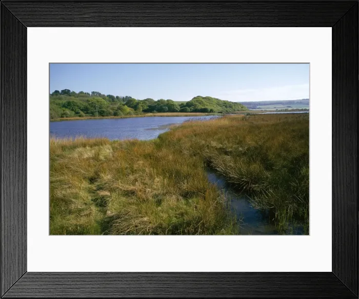 Framed Print : Isle of Wight - Brading - lagoon Framed Print : Isle of Wight - Brading - lagoon