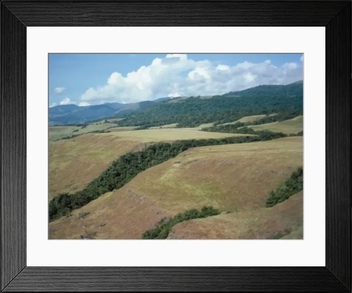 Framed Print : Raised beaches - wave-cut platforms - Deep erosion channels are filled with vegetation in staircase-like raised coral terraces along the Finschhafen coast (=The Rai Coast) of the Huon Peninsula, on the north coast of Papua New Guinea Framed Print : Raised beaches - wave-cut platforms - Deep erosion channels are filled with vegetation in staircase-like raised coral terraces along the Finschhafen coast (=The Rai Coast) of the Huon Peninsula, on the north coast of Papua New Guinea