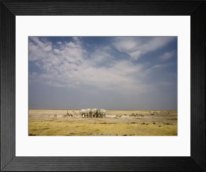 Framed Print : African Elephant - wide angle view at a water hole with plains game waiting - Etosha National Park - Namibia - Africa Framed Print : African Elephant - wide angle view at a water hole with plains game waiting - Etosha National Park - Namibia - Africa