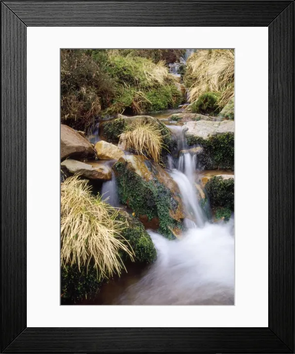 Framed Print : Moss covered rocks - in upland stream UK Framed Print : Moss covered rocks - in upland stream UK