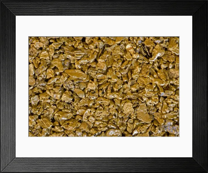 Framed Print : Gold Nuggets - California - from alluvial deposit Framed Print : Gold Nuggets - California - from alluvial deposit