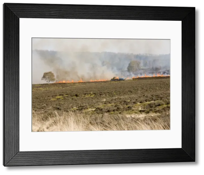 Framed Print : Heath fire with water sprayer - Cannock Chase AONB - Staffordshire UK