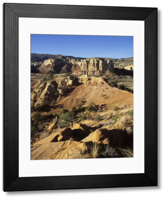 Framed Print : Dinosaurs - Geology Ghost Ranch, New Mexico: a mass mortality site of the dinosaur Ceolophysis was discovered in the reddish strata near the center of the photo. The excavation site is visible left of center Framed Print : Dinosaurs - Geology Ghost Ranch, New Mexico: a mass mortality site of the dinosaur Ceolophysis was discovered in the reddish strata near the center of the photo. The excavation site is visible left of center