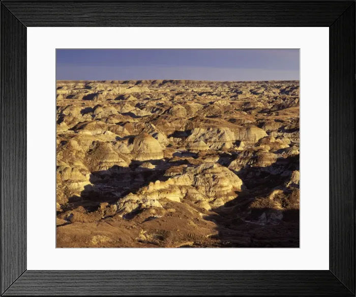 Framed Print : Dinosaur Provincial Park - Alberta, Canada (UNESCO World Heritage Site) Badlands near the Park entrance. Sediments of the Dinosaur Park Formation, Member of the Judith River Formation, Cretaceous Framed Print : Dinosaur Provincial Park - Alberta, Canada (UNESCO World Heritage Site) Badlands near the Park entrance. Sediments of the Dinosaur Park Formation, Member of the Judith River Formation, Cretaceous