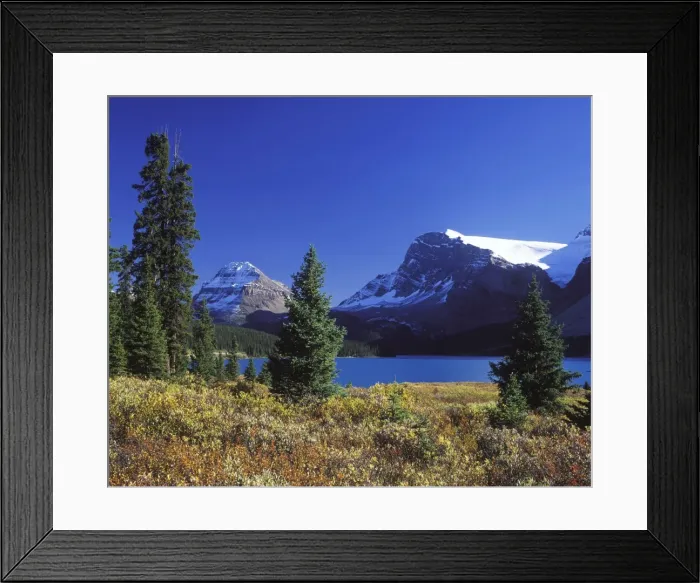 Framed Print : Bow Lake - with willows in autumn colours - Banff National Park - Canada - Alberta Framed Print : Bow Lake - with willows in autumn colours - Banff National Park - Canada - Alberta