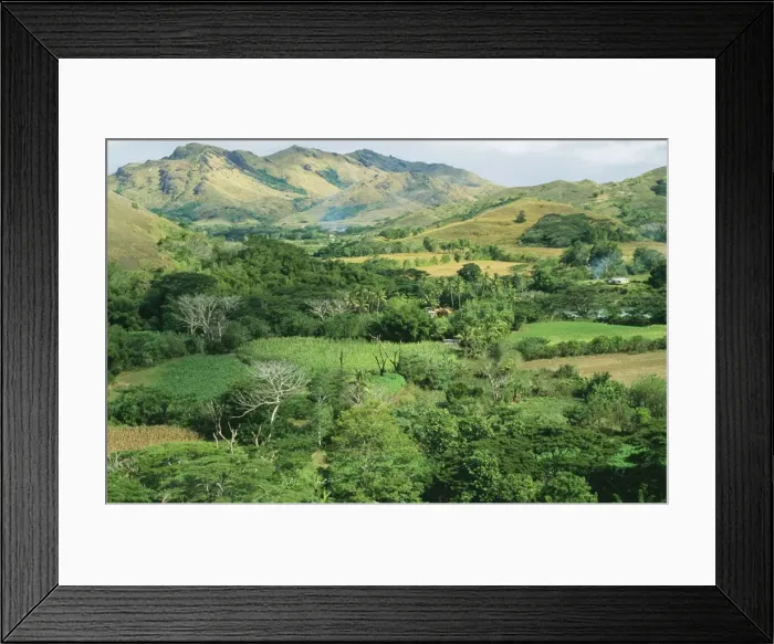 Framed Print : Fiji JPF 8801 Sigatoka valley gardens, Viti Levu, Fiji. © Jean-Paul Ferrero / ARDEA LONDON Framed Print : Fiji JPF 8801 Sigatoka valley gardens, Viti Levu, Fiji. © Jean-Paul Ferrero / ARDEA LONDON