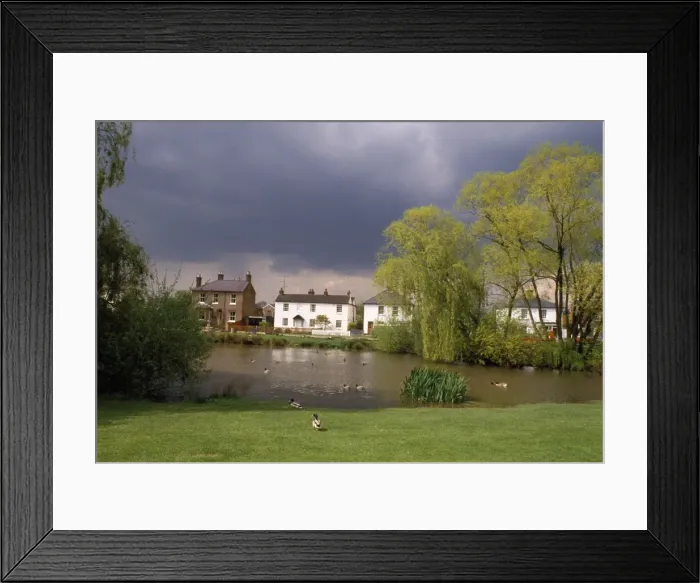 Framed Print : Village Pond - West End - Esher - Surrey - UK Framed Print : Village Pond - West End - Esher - Surrey - UK