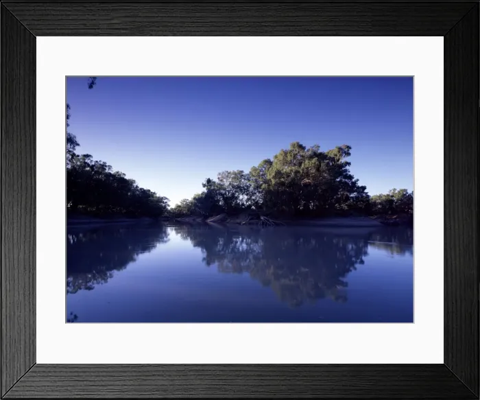 Framed Print : River red gums along Darling River - Kinchega National Park, far western New South Wales, Australia JPF44382 Framed Print : River red gums along Darling River - Kinchega National Park, far western New South Wales, Australia JPF44382