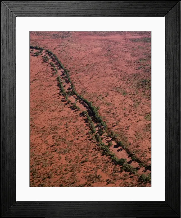 Framed Print : Aerial - Red river gum - growing along river bed, Central Australian Desert, Western Australia JPF44856